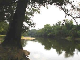 Site Picture